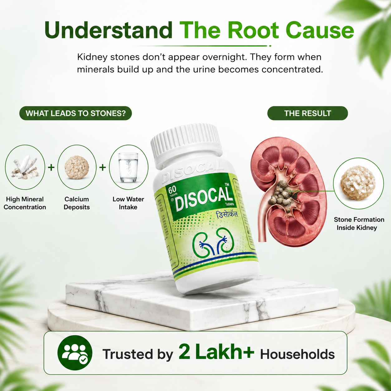 Disocal Kidney Stone Combo